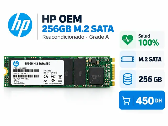 HP OEM 256GB M.2 SATA